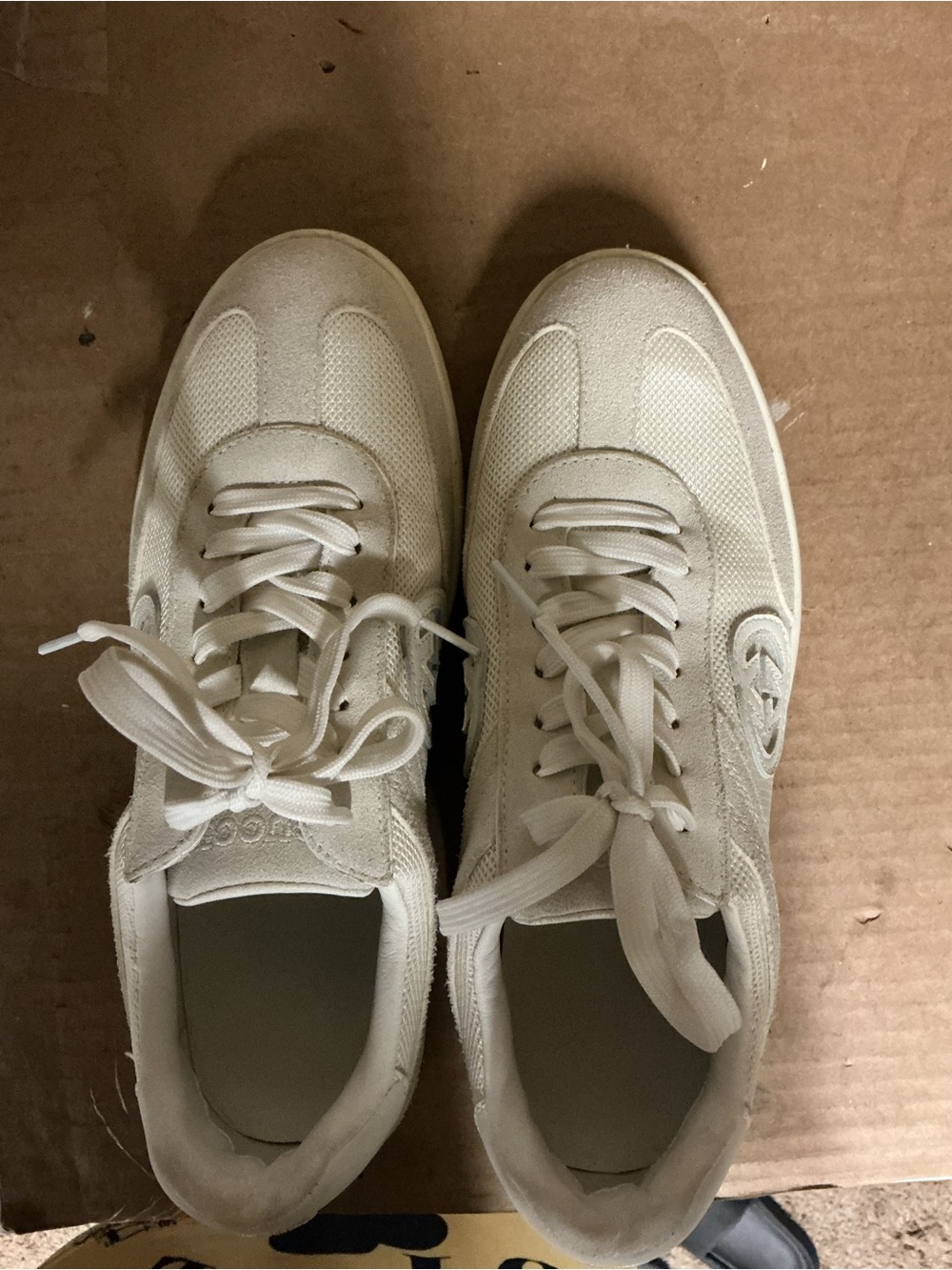 Gucci sneakers